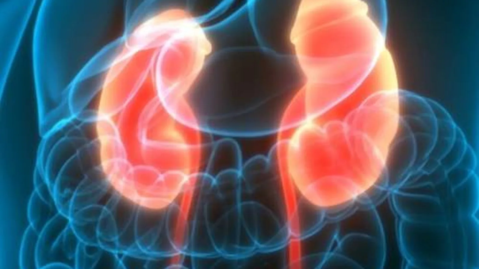 ¿Qué especialista trata el cáncer renal?